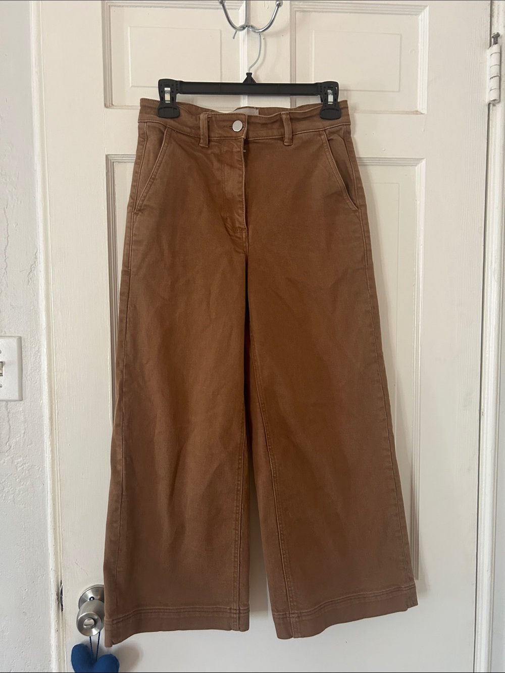 Everlane High-Rise Wide-Leg Jeans in Chestnut